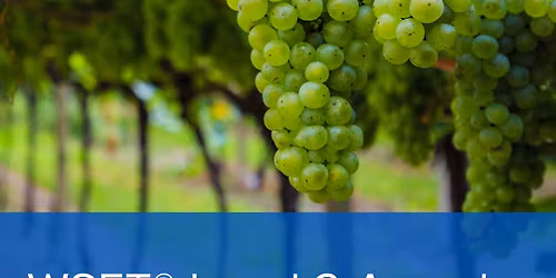 WSET Level 2 Award in Wines Timisoara