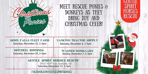 Christmas Ponies in Mitchell, SD!