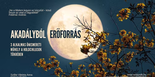 \ud83c\udf15 Akad\u00e1lyb\u00f3l er\u0151forr\u00e1s \u2013 3 alkalmas \u00f6nismereti m\u0171hely a holdciklusok t\u00fckr\u00e9ben