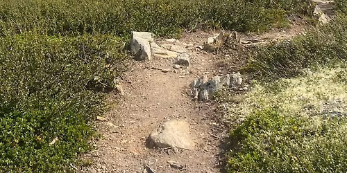 Vandring - Dovre fjell - Fokstugu - Hjerkinn - Kongsvold