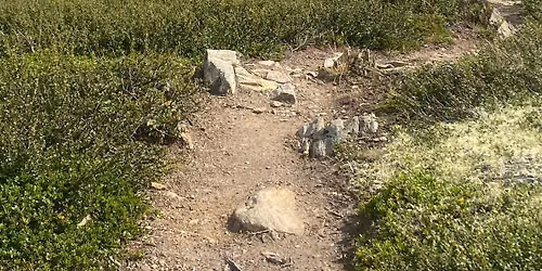 Vandring - Dovre fjell - Fokstugu - Hjerkinn - Kongsvold