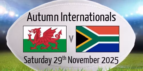 Wales v South Africa