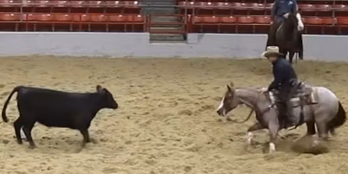 National Cutting Horse Association Eastern Nationals