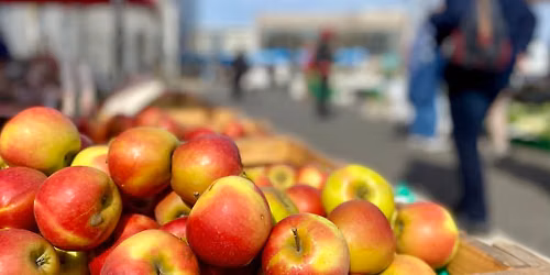 Lausitzer Herbstmarkt in Cottbus