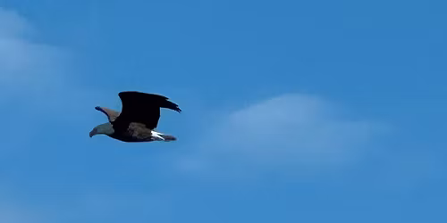 #MDY Eagle ride and Charity run for No Time to Spare