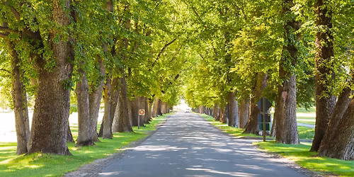 2025 MORA Millbrook Masters