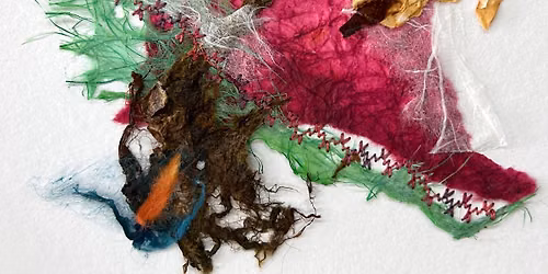 Forest Floor with Mel Kolstad