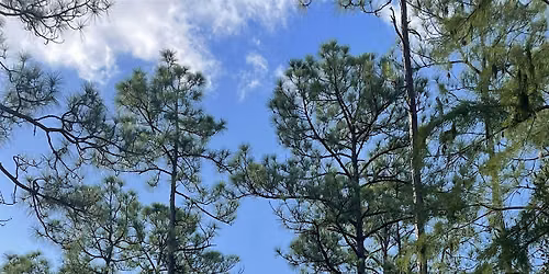 Hidden History: A Nature Walk Back in Time