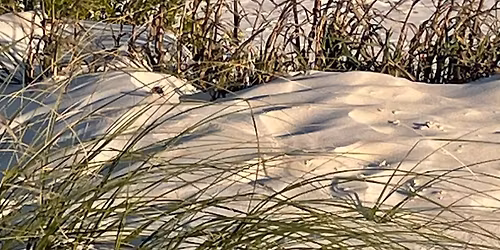 Fort Morgan Winter Market