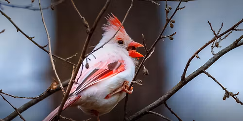 Font Hill Wetlands Park Community Meeting