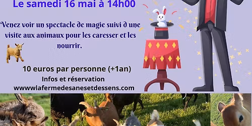spectacle de magie et visite aux animaux. 