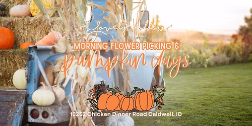 Pumpkin Days