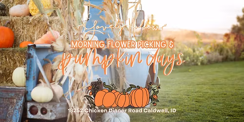 Pumpkin Days