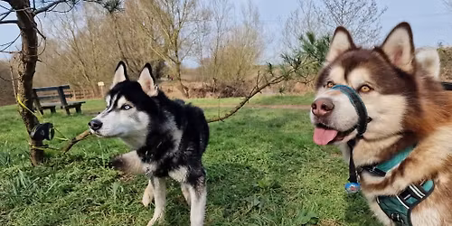 Uphill beach to Knightstone