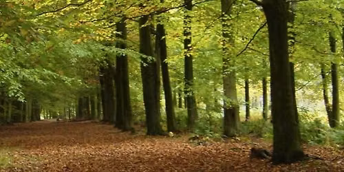 Gmtr multi terrain race 