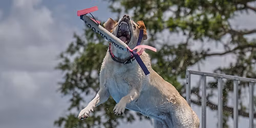 2026 NADD Canine Cluster Roundup