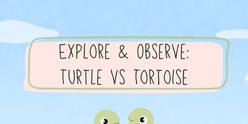 Explore & Observe