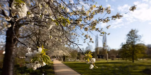 Stadtf\u00fchrung: \u201eWer kennt wen?\u201c \u2013 Die B\u00e4ume im Botanischen Garten G\u00fctersloh
