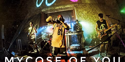 \ud83c\udf44 MYCOSE OF YOU \ud83c\udf44