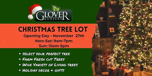 Christmas Tree Lot