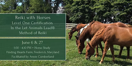 Reiki with Horses: Level One Certification in the Let Animals Lead\u00ae Method