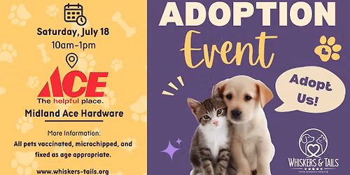 Adoption Event