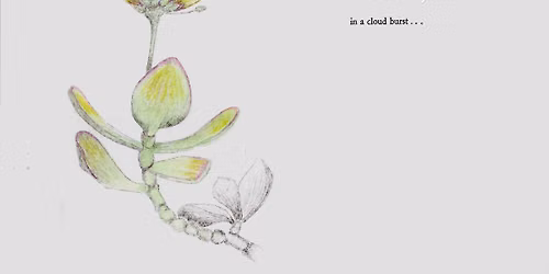 Esther Ervin: Gardening for the Soul
