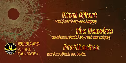 Final Effort +++ The Denekes +++ ProfiLachse