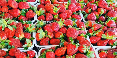 Strawberry Day!