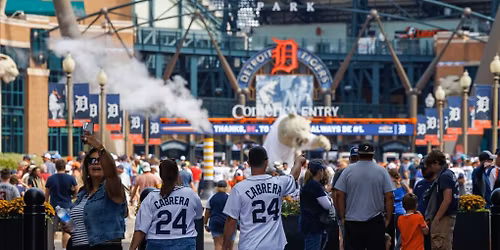 Parking Cat In The Hat - Detroit