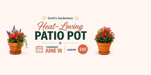 Heat Loving Patio Pots