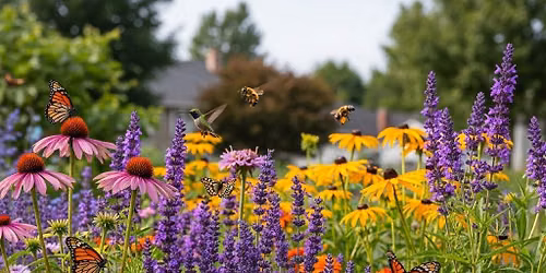 July Sierra Club Meeting-\u201cAttracting Pollinators in Southeast Texas\u201d Dennis Durkee and Mary Bernard