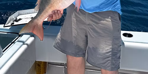 November Social - 3 Sea Specialized Tackle and Fishin' Prints