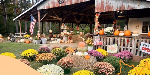 Small Business Saturday @ Herrington Farms