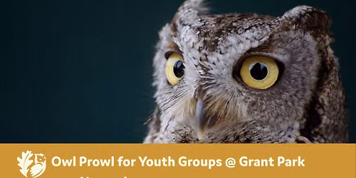 Owl Prowl for Youth Groups @ Grant Park 