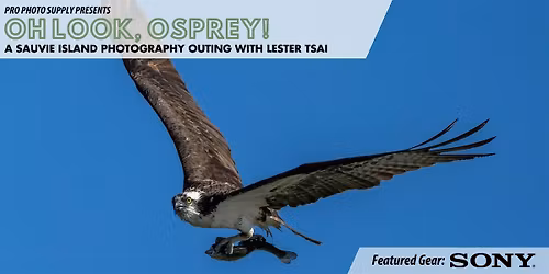 Oh look, Osprey! with Lester Tsai