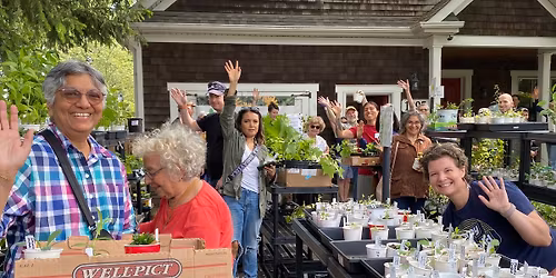 Blooming Boulevards HUGE 7th Annual Native Plant Sale