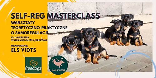 SELF-REG MASTERCLASS - Wszystko o samoregulacji.
