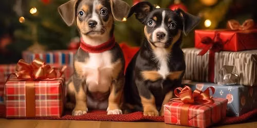 Adoption Event at Coastal Farm and Ranch - Auburn with SANTA PICTURES!