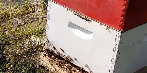 Farmers Market (1st Saturday of the Month) - Sweet Bee Co-op Farmers Market at Apricity Farm