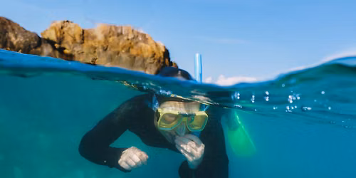 Snorkel Safari