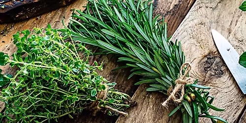 Herbalism- Basics $30