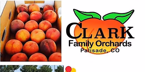 Clark Family Orchards - Children's Hospital Palisade Peach Fundraiser