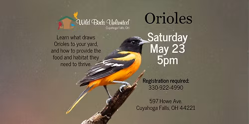 Education Program- Orioles