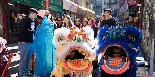 Lion Dance for Lunar New Year