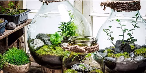 MCC Hands-On Workshop - Terrarium Building