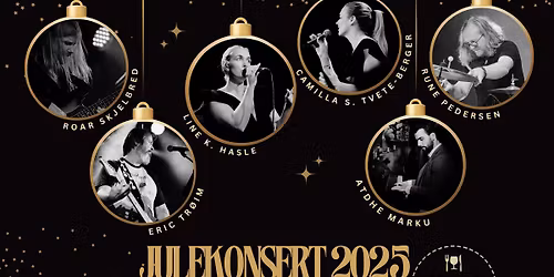 Julekonsert med Vinterlys