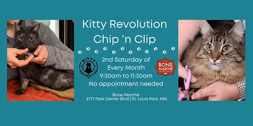 Kitty Revolution Chip \u2018n Clip