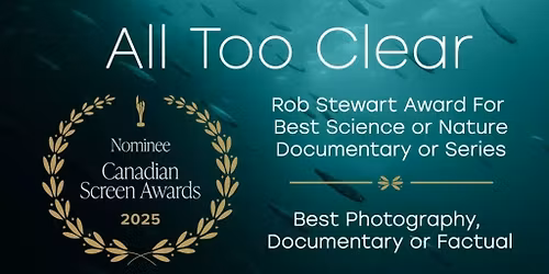 Film Screening: All Too Clear