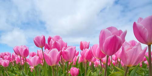 Spring Equinox Gathering